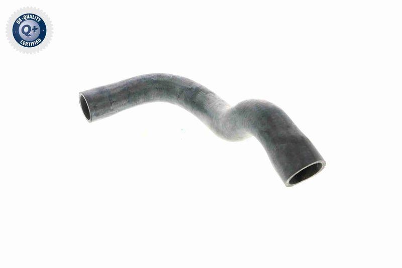 VAICO V20-1242 K&uuml;hlerschlauch f&uuml;r BMW