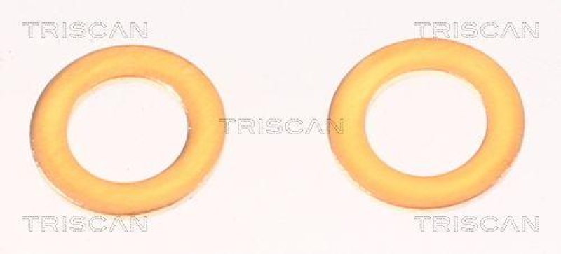 TRISCAN 8150 42287 Bremsschlauch Hinten f&uuml;r Mitsubishi