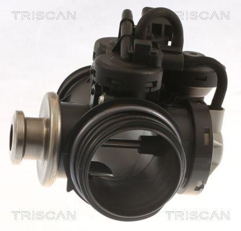 TRISCAN 8813 28045 Agr Ventil f&uuml;r Peugeot 206 1.9D