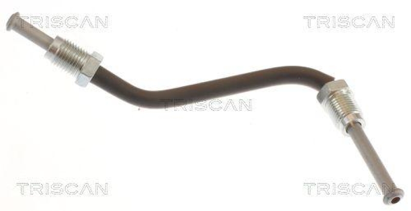 TRISCAN 8150 432003 Bremsschlauch Hinten f&uuml;r Hyundai, Kia