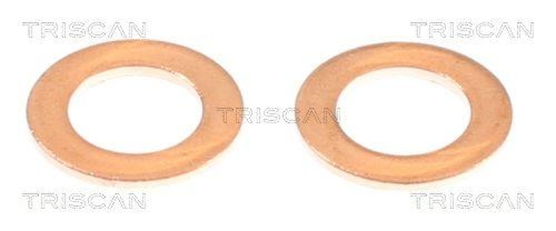 TRISCAN 8150 432013 Bremsschlauch Hinten f&uuml;r Hyundai, Kia