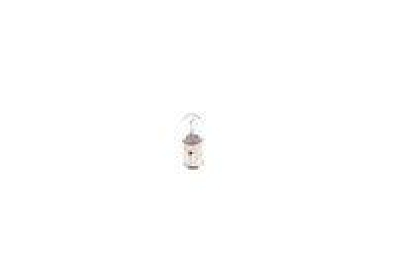 BOSCH 1 987 302 224 Glühlampe Pure Light