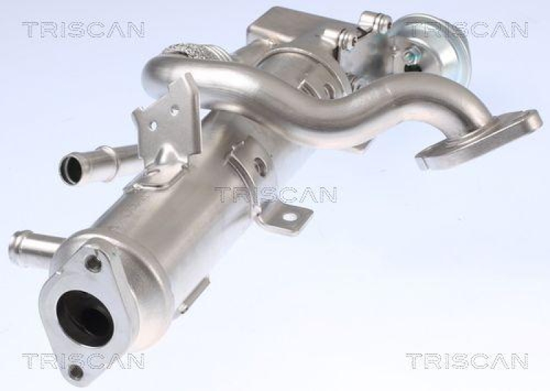 TRISCAN 8813 29329 K&uuml;hler, Abgasr&uuml;ckf&uuml;hrung f&uuml;r Volkswagen, Seat