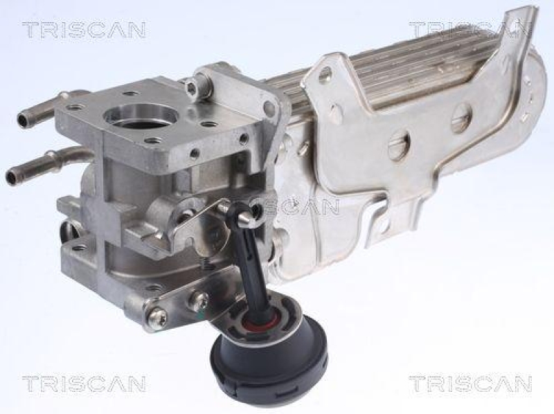 TRISCAN 8813 29331 K&uuml;hler, Abgasr&uuml;ckf&uuml;hrung f&uuml;r Vag