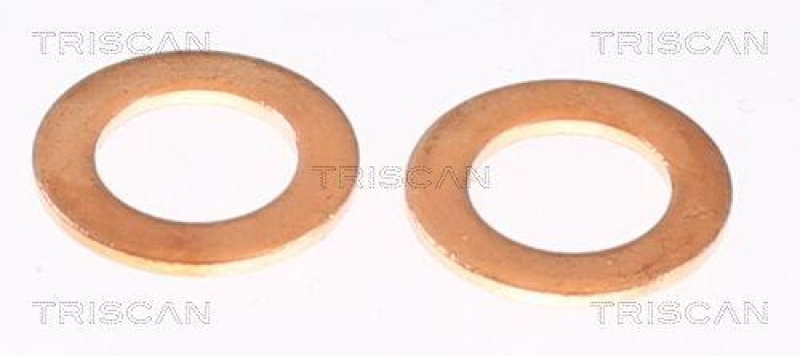 TRISCAN 8150 432022 Bremsschlauch Hinten f&uuml;r Hyundai, Kia