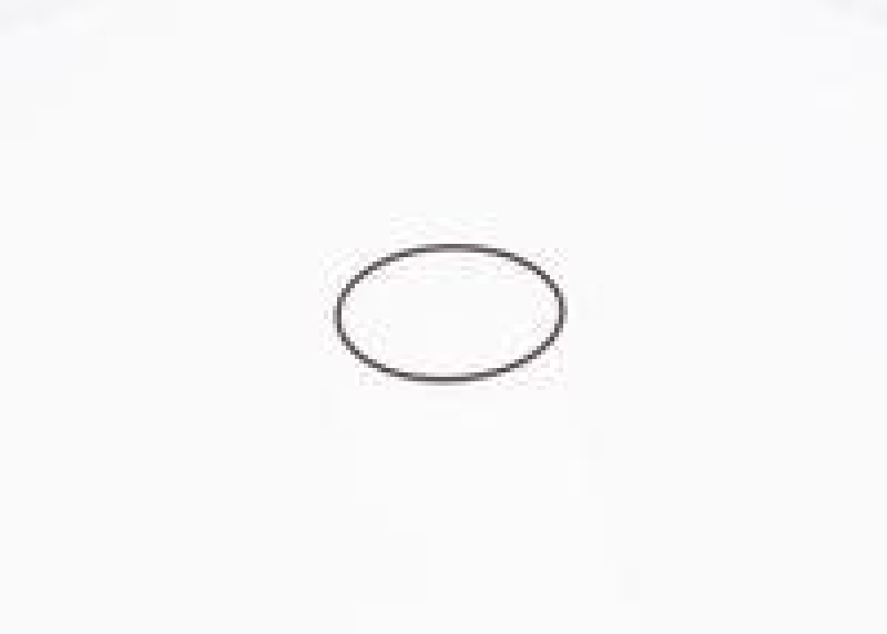BOSCH F 01M 100 371 Dichtring