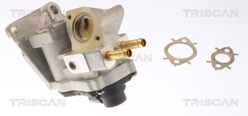 TRISCAN 8813 42002 Agr Ventil f&uuml;r Mitsubishi