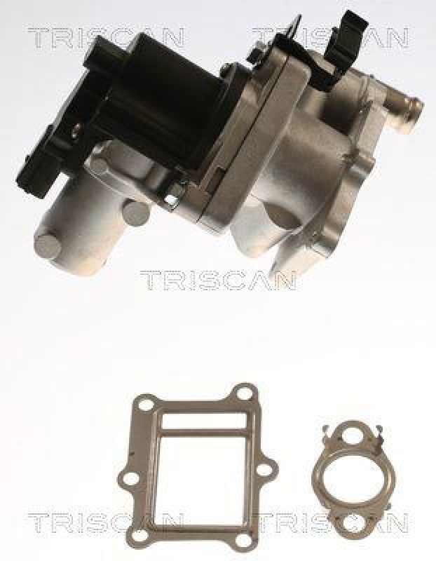 TRISCAN 8813 43017 Agr Ventil f&uuml;r Hyundai, Kia
