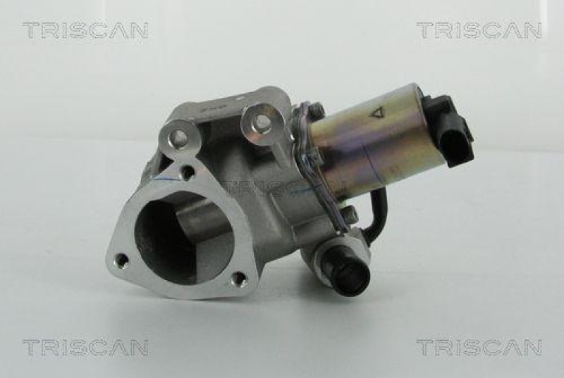 TRISCAN 8813 43020 Agr Ventil f&uuml;r Hyundai/Kia