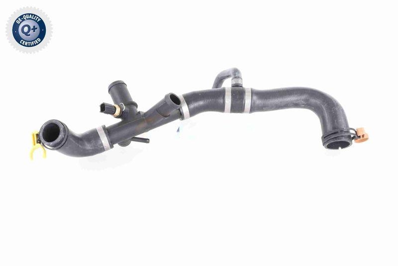 VAICO V41-0037 K&uuml;hlerschlauch f&uuml;r JAGUAR