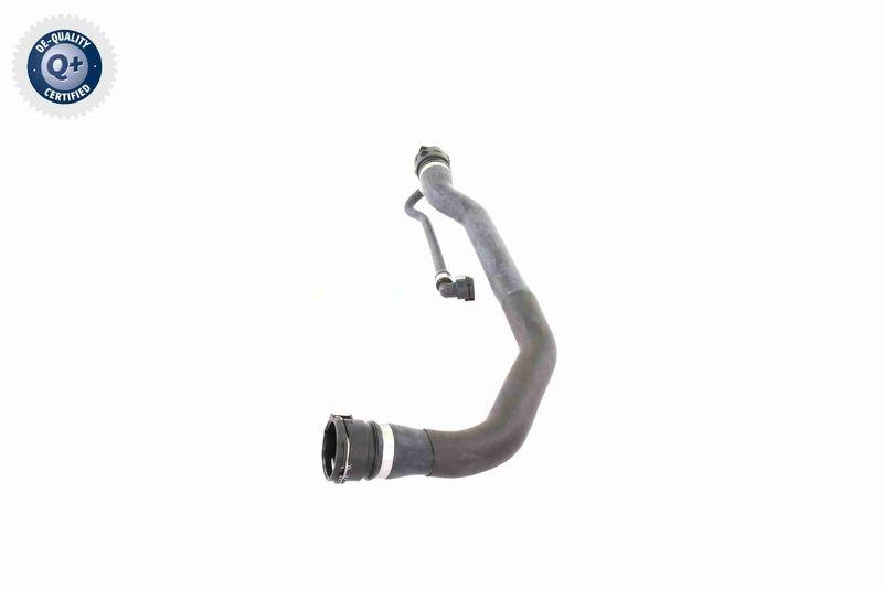 VAICO V20-1346 K&uuml;hlerschlauch f&uuml;r BMW