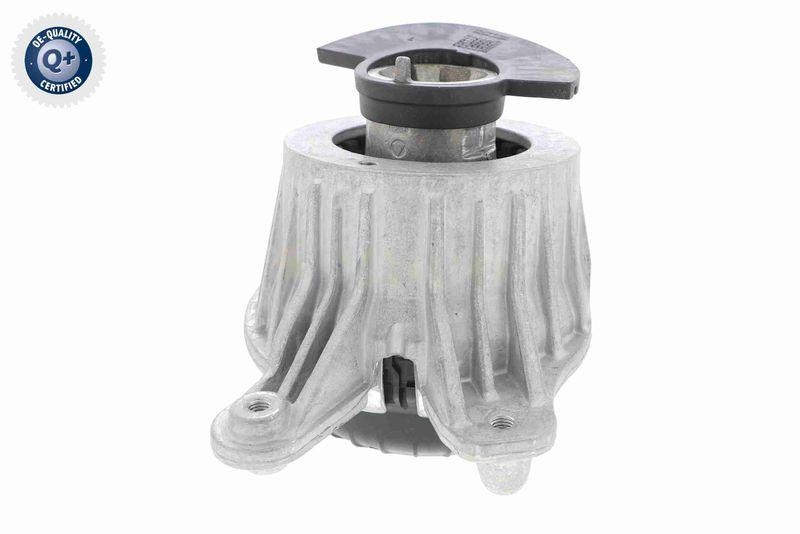 VAICO V30-3098 Lagerung, Motor Hydraulisch, rechts f&uuml;r MERCEDES-BENZ