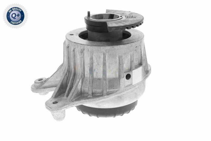 VAICO V30-3100 Lagerung, Motor Hydraulisch, rechts f&uuml;r MERCEDES-BENZ