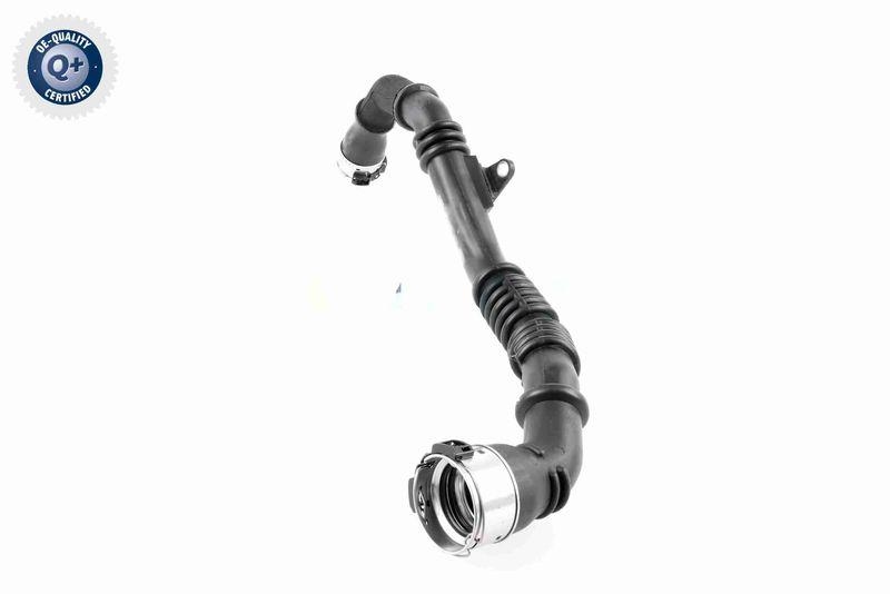VAICO V46-1177 Ladeluftschlauch f&uuml;r RENAULT