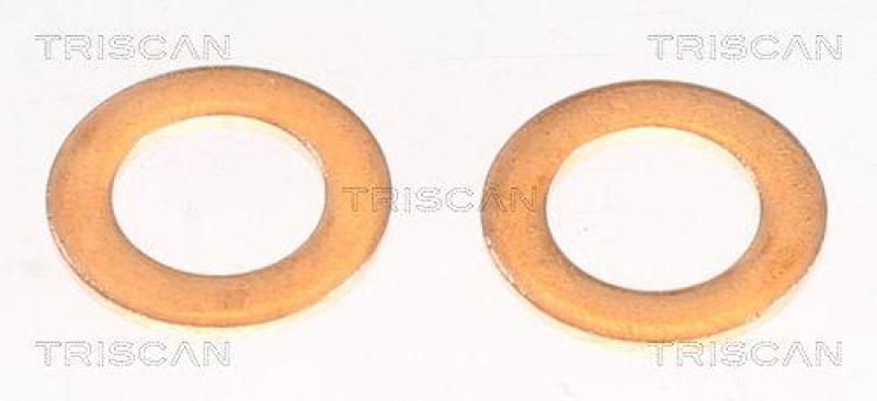 TRISCAN 8150 131009 Bremsschlauch Vorne f&uuml;r Toyota, Lexus