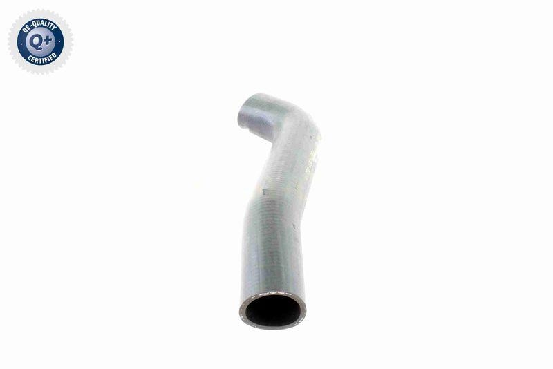 VAICO V30-1968 K&uuml;hlerschlauch K&uuml;hler, Anschlu&szlig; unten f&uuml;r MERCEDES-BENZ