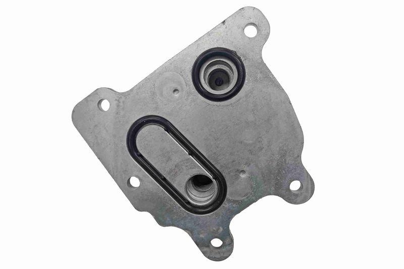 ACKOJA A38-60-0021 Ölkühler, Motoröl mit Dichtung für NISSAN