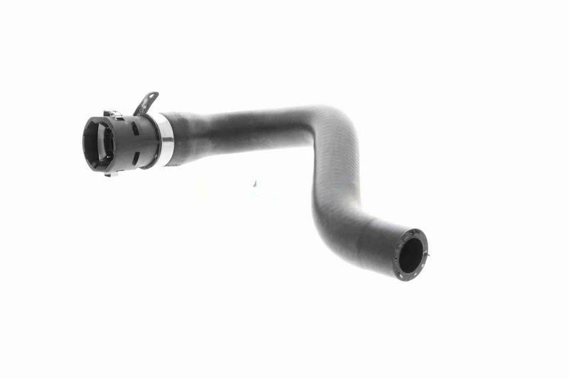 VAICO V24-1184 K&uuml;hlerschlauch f&uuml;r FIAT