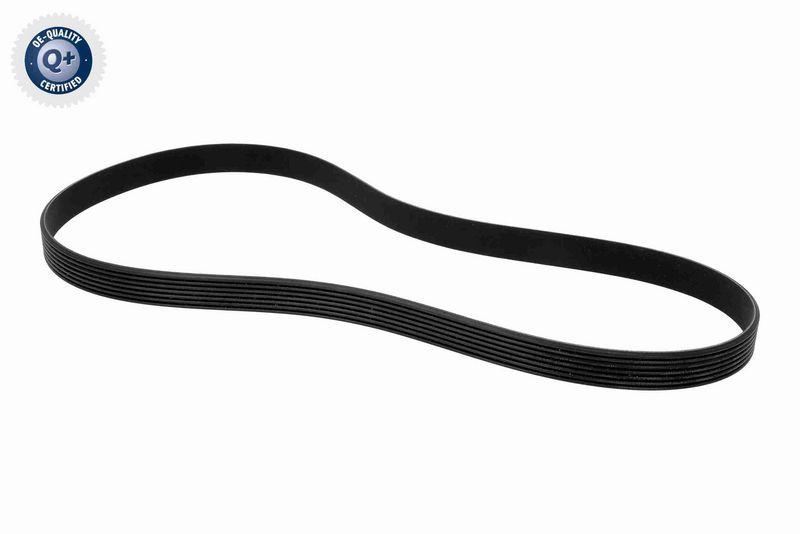 VAICO V24-1209 Keilrippenriemen für FIAT