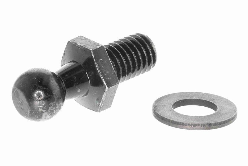 ACKOJA A63-0017 Gasfeder, Koffer-/Laderaum für SUBARU