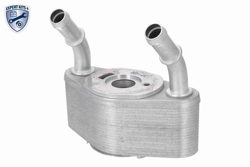 VEMO V25-60-0065 Ölkühler, Motoröl mit Dichtung für FORD