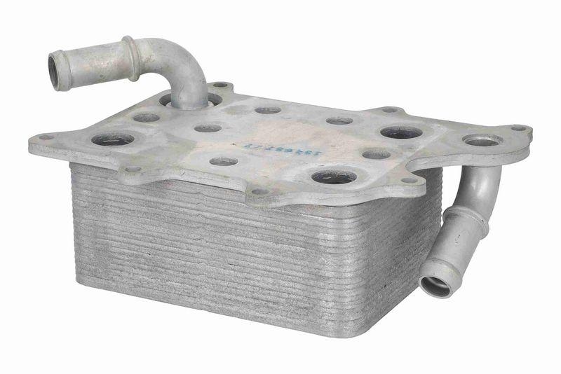 VEMO V25-60-3032 Ölkühler, Motoröl für FORD