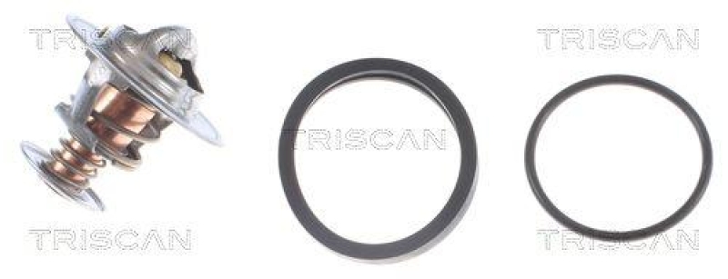TRISCAN 8620 17591 Thermostat für Ford