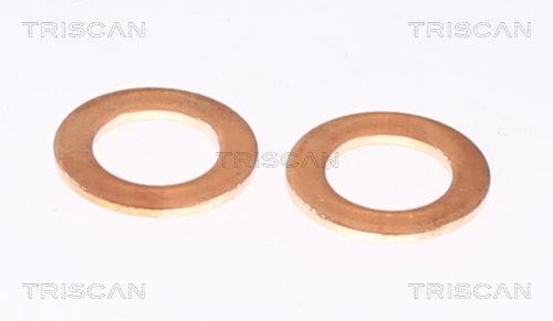 TRISCAN 8150 80219 Bremsschlauch Hinten f&uuml;r Jeep