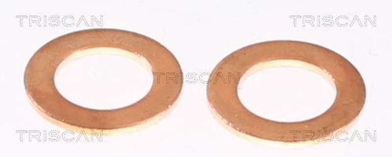 TRISCAN 8150 80221 Bremsschlauch Hinten f&uuml;r Jeep