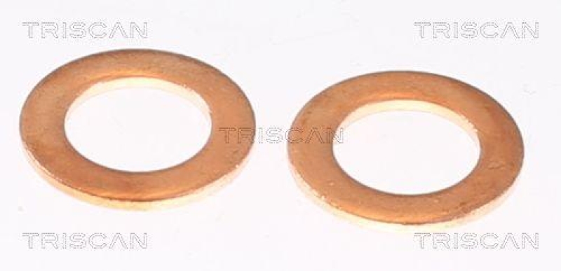 TRISCAN 8150 80222 Bremsschlauch Hinten f&uuml;r Jeep