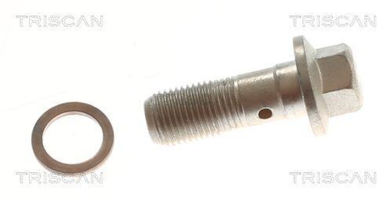 TRISCAN 8150 81011 Bremsschlauch Vorne f&uuml;r Tesla