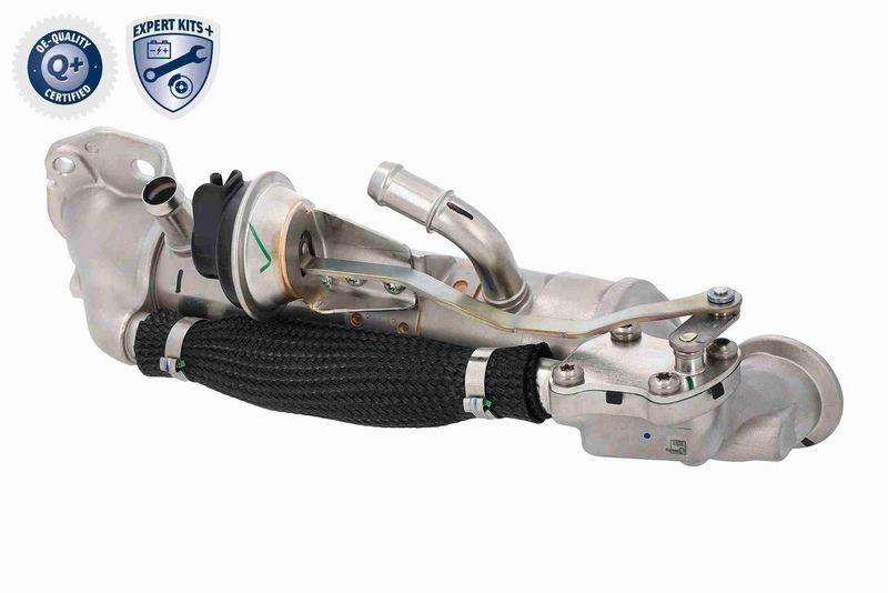 VEMO V25-63-0076 K&uuml;hler, Abgasr&uuml;ckf&uuml;hrung Wassergek&uuml;hlt f&uuml;r FORD