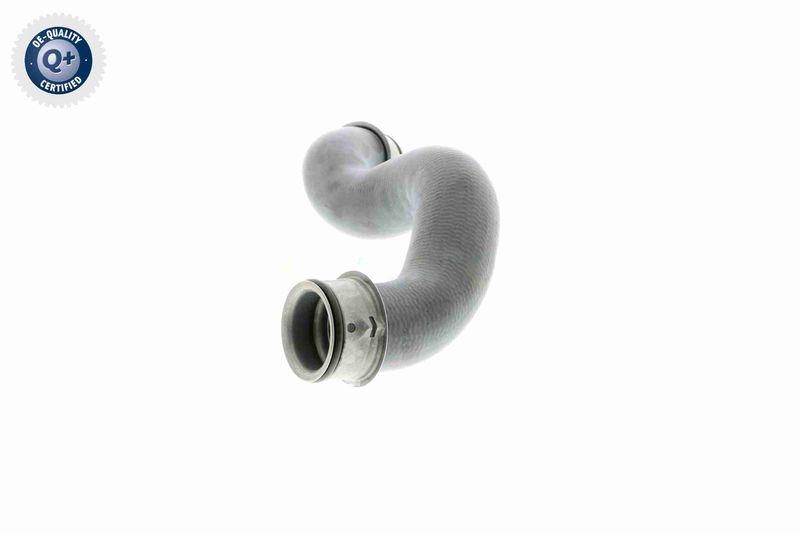 VAICO V30-2225 K&uuml;hlerschlauch rechts, unten f&uuml;r MERCEDES-BENZ