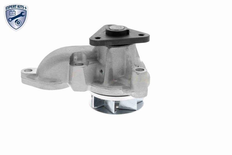 ACKOJA A52-0704 Wasserpumpe, Motork&uuml;hlung f&uuml;r HYundAI