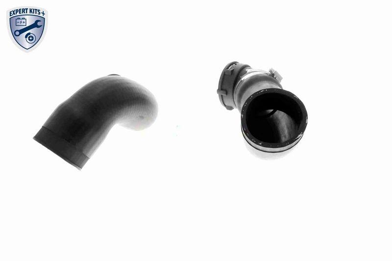 VAICO V20-1612 Ladeluftschlauch f&uuml;r BMW