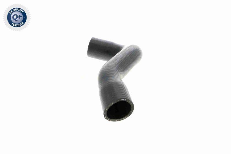 VAICO V10-4815 K&uuml;hlerschlauch f&uuml;r VW