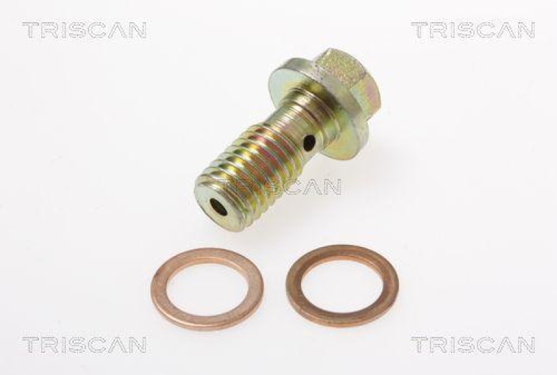 TRISCAN 8150 16307 Bremsschlauch f&uuml;r Ford