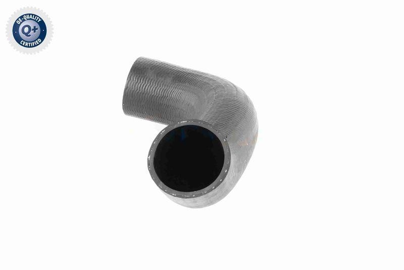 ACKOJA A38-0298 Ladeluftschlauch f&uuml;r NISSAN