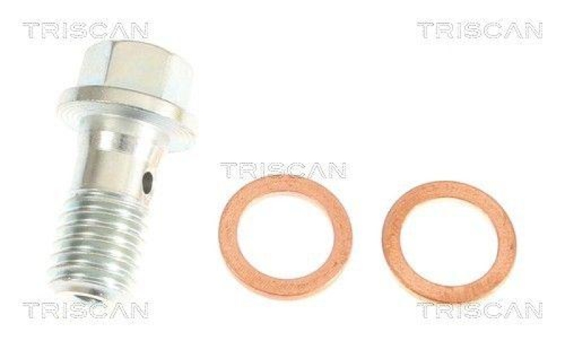 TRISCAN 8150 29164 Bremsschlauch f&uuml;r Audi
