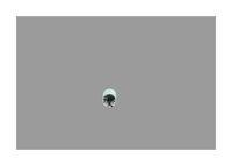 Bosch 1 986 SE1 681 Einrückrelais