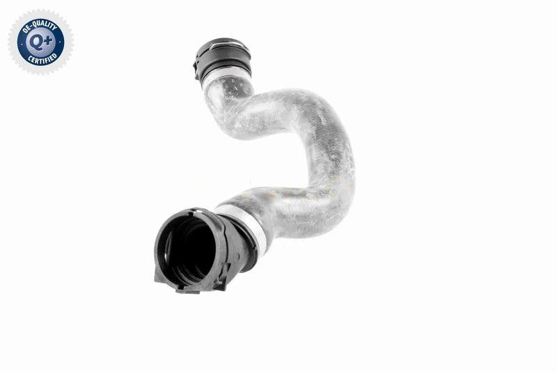 VAICO V20-1754 K&uuml;hlerschlauch f&uuml;r BMW