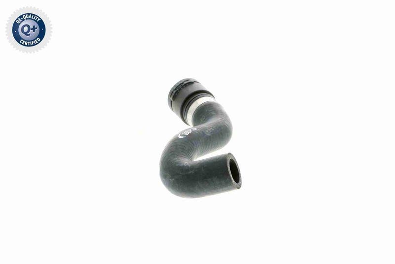 VAICO V20-1771 K&uuml;hlerschlauch f&uuml;r BMW