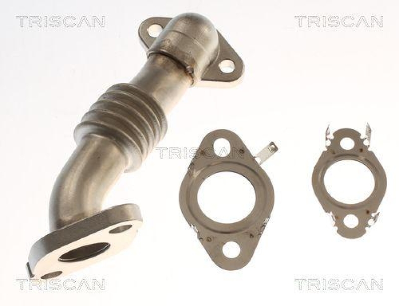 TRISCAN 8811 29000 Rep. Satz, Agr-Modul 8813 29347 f&uuml;r Vag