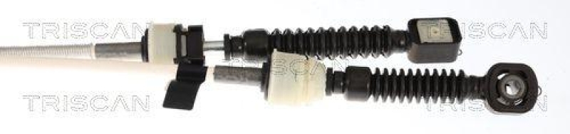 TRISCAN 8140 29721 Seilzug, Schaltgetriebe Manuel für Vw