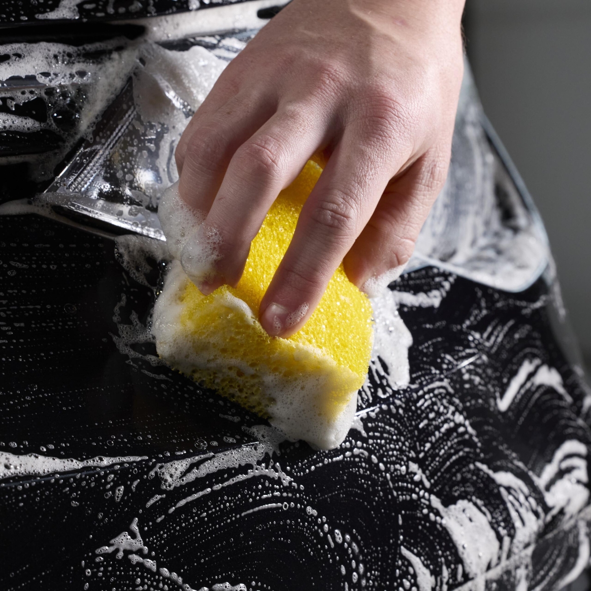 LIQUI MOLY 1543 Insektenentferner 500ml