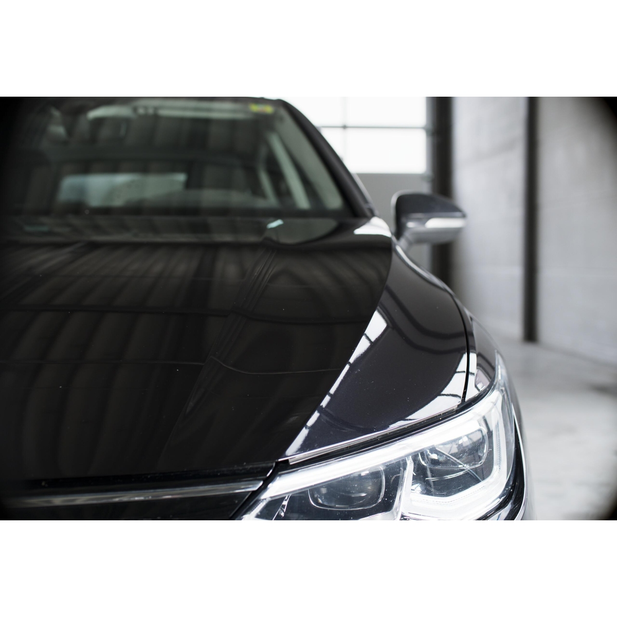 LIQUI MOLY 1543 Insektenentferner 500ml