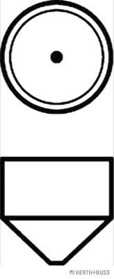 HERTH+BUSS 89901020 Glühlampe M, 24 V, 3 W, SV7-8