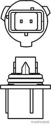 HERTH+BUSS 89901332 Gl&uuml;hlampe 12V P13W